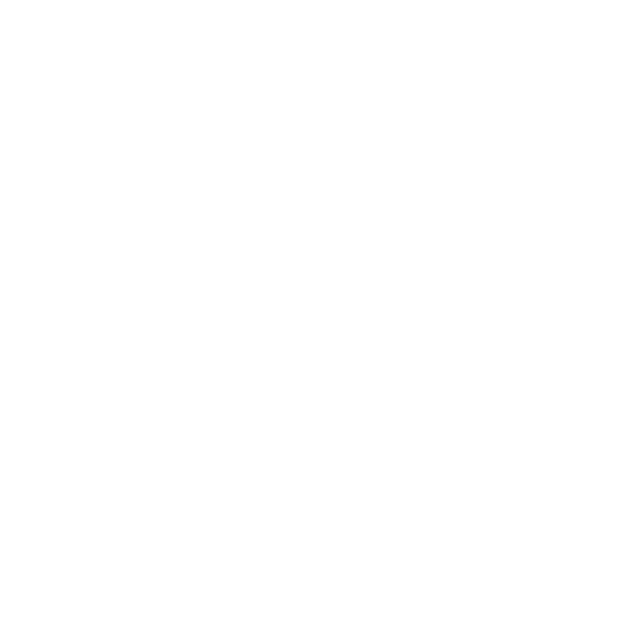 Initial Consultation